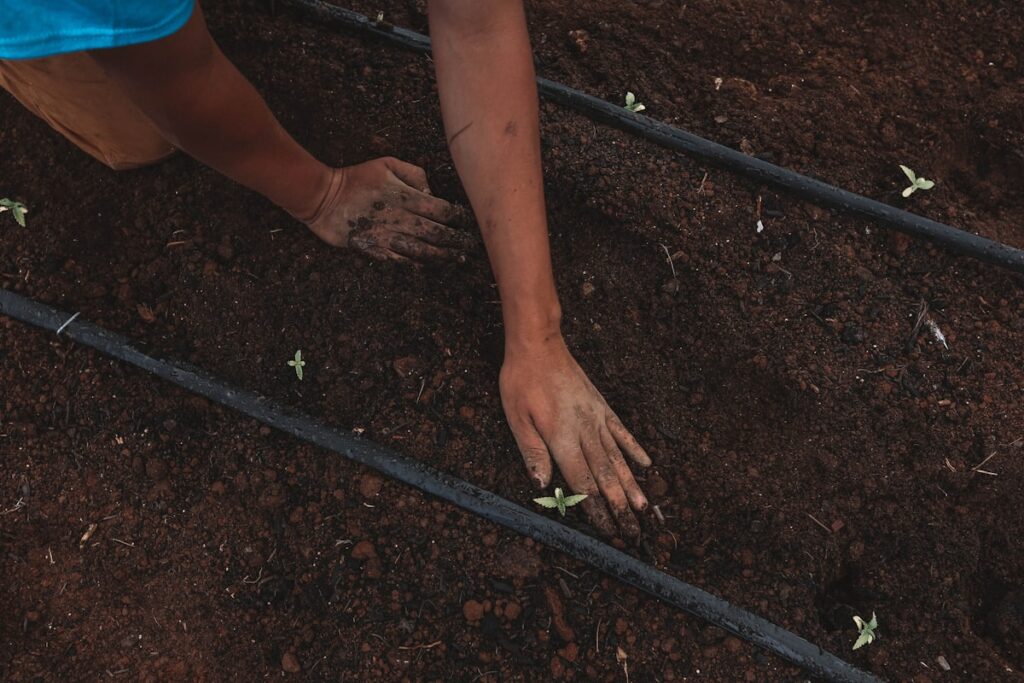 Manos instalando sistema de riego por goteo casero con tuberías negras en huerto de terraza urbana
