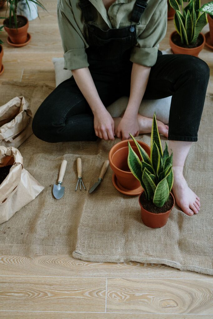 Kit básico de herramientas de jardinería sobre una mesa de madera