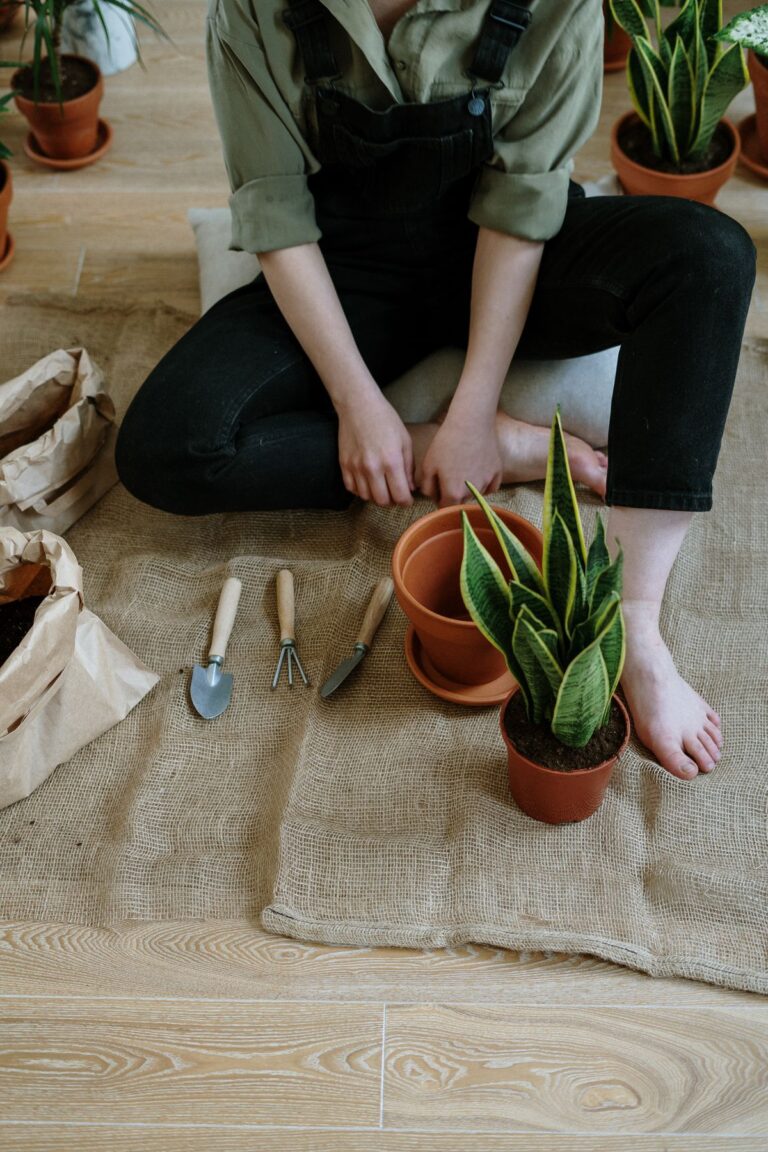 Kit básico de herramientas de jardinería sobre una mesa de madera