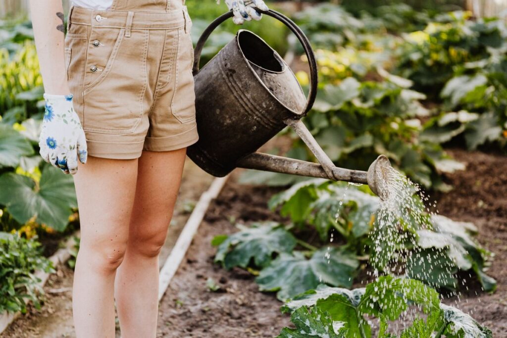Sistema de riego automático por goteo para plantas de interior con temporizador